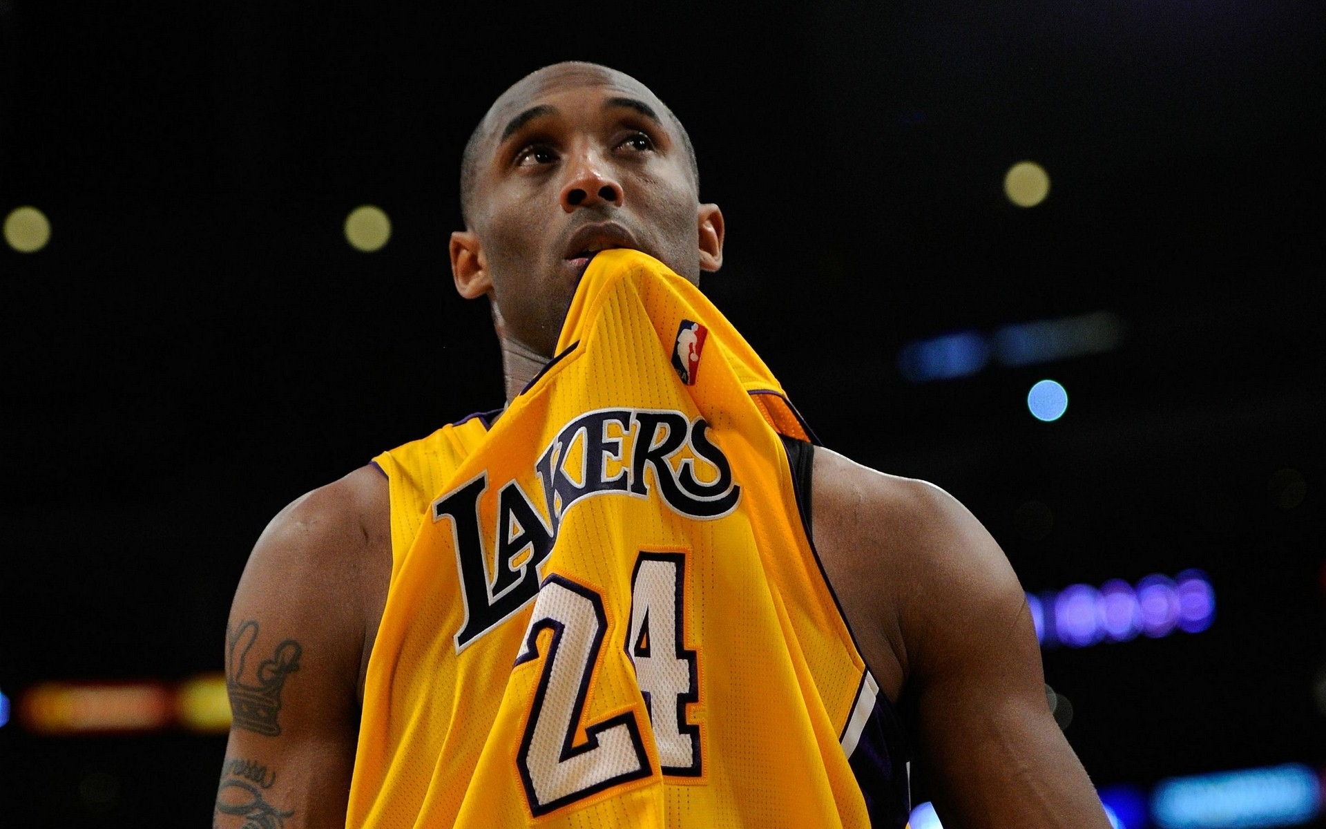 的颜色与L 的颜色与L