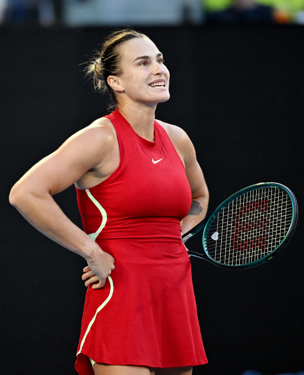 丹麦足球的 丹麦足球的